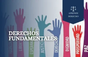 Derechos Fundamentales Aprende Derecho