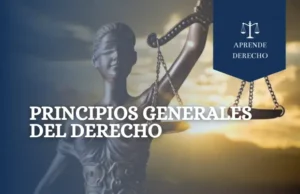 Principios Generales del Derecho Aprende Derecho