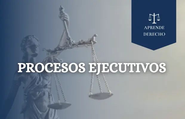 Procesos Ejecutivos Aprende Derecho