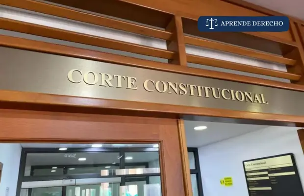 Qué Asuntos Conoce la Corte Constitucional Aprende Derecho