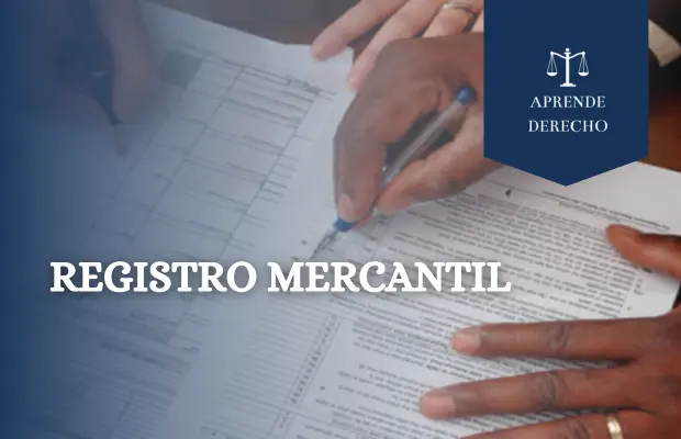 Registro Mercantil Aprende Derecho