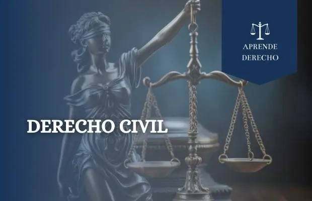 Derecho Civil - Aprende Derecho